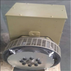 Efficiënte automatische commutatorgenerator - 3000 rpm nominale snelheid Zilveren coating