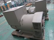 250KVA Brushless AC Generator met Goede de Klassenisolatie van AVR en h-