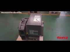 Wat is een borstelloze AC generator?