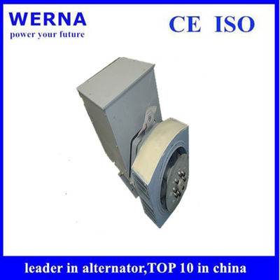 kopen Three-Phase Induction Generators Low THF and Copper Winding Material for Sustainable Power Generation online manufacture