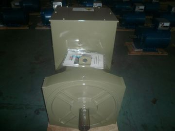 kopen 300KW dubbele Dragende Alternator met Eerste Klassenavr IP22 AC Enige Fase online manufacture