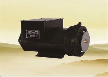 Dubbele Draad 12/6 In drie stadia van Lageralternators 25kw 31.3kva