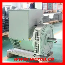 Isolatieklasse H: nominale spanning 220V enkelfasige wisselstroomgenerator