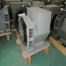 100% koperdraad borstelloze wisselstroomgenerator 2 3 pitch winding bescherming klasse H