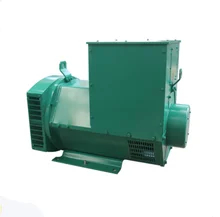 Lichte borstelloze wisselstroomgenerator 2,5 kg 183 X 92 X 140 cm Isolatie H