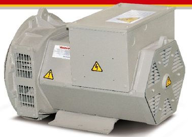 Elektrische Brushless Alternators