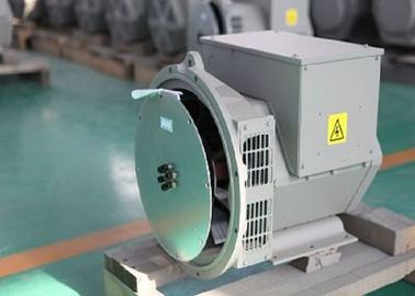 Brushless Alternator van de Enige Fase Permanente Magneet voor MTU-Generatorreeks 14KW