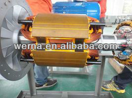 Driefasige borstelloze alternator met 100% koperen wikkeling Isolatieklasse H en Stamford type montage